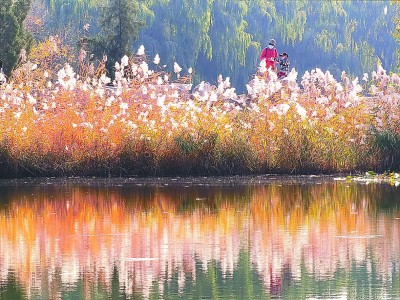 保護傳承利用“三山五園”金名片 充分發(fā)揮全國文化中心示范引領作用